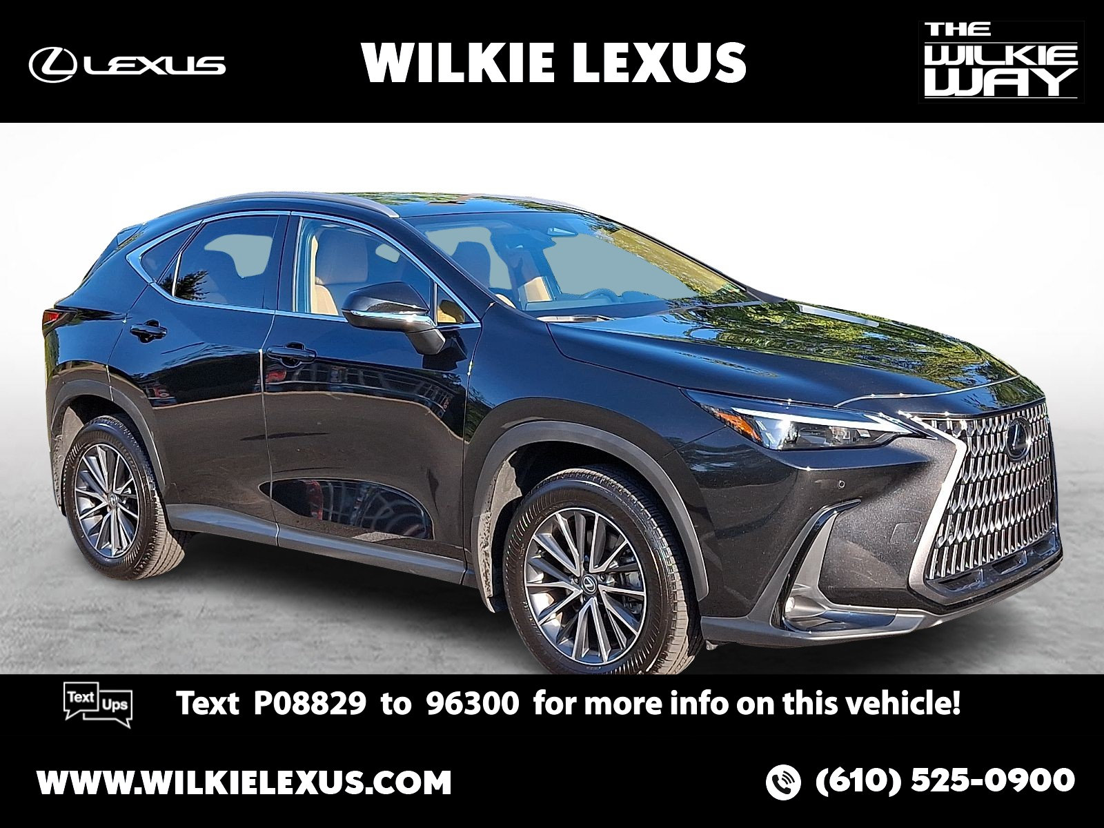 2025 Lexus NX