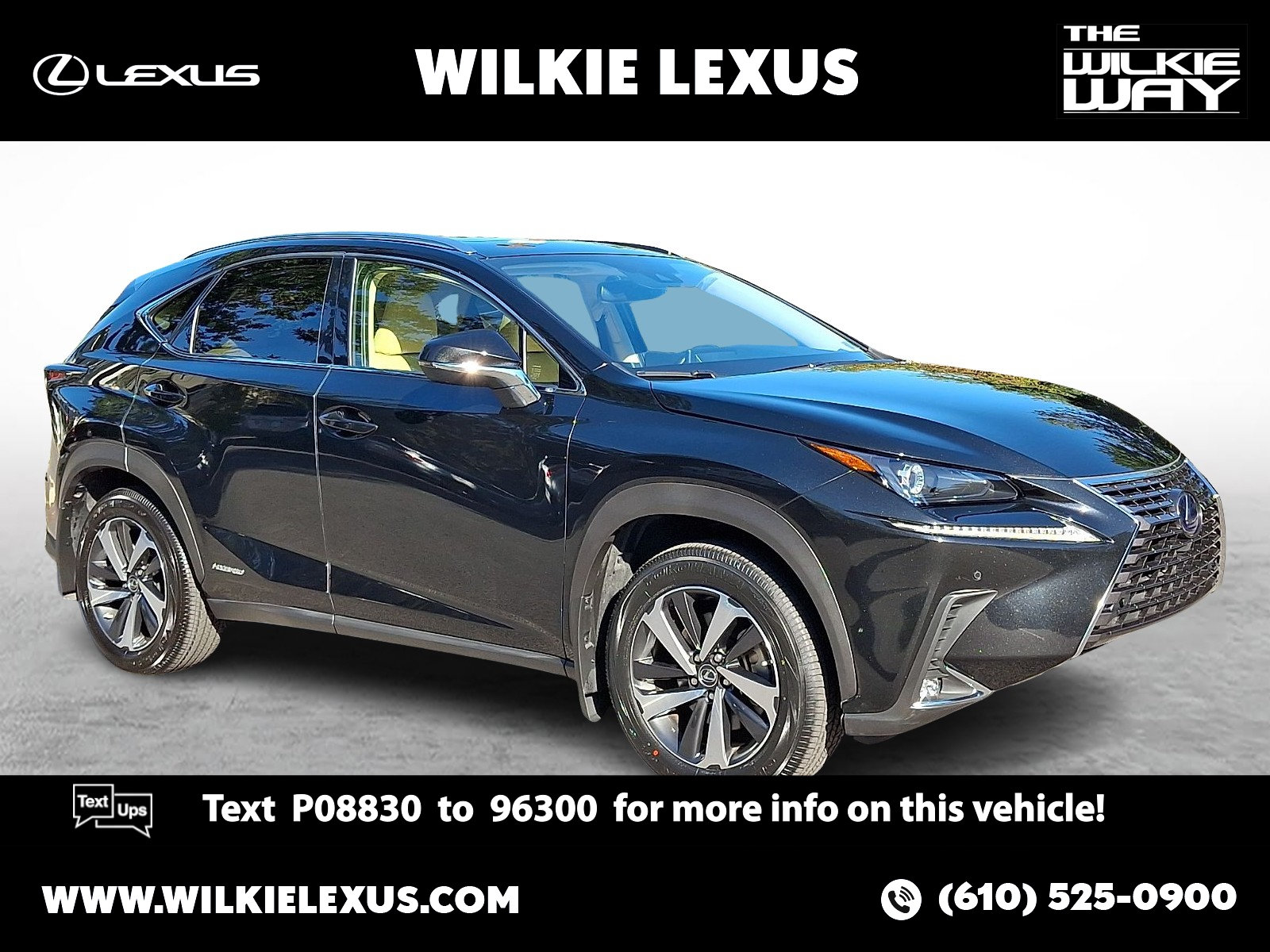 2021 Lexus NX Hybrid 300h