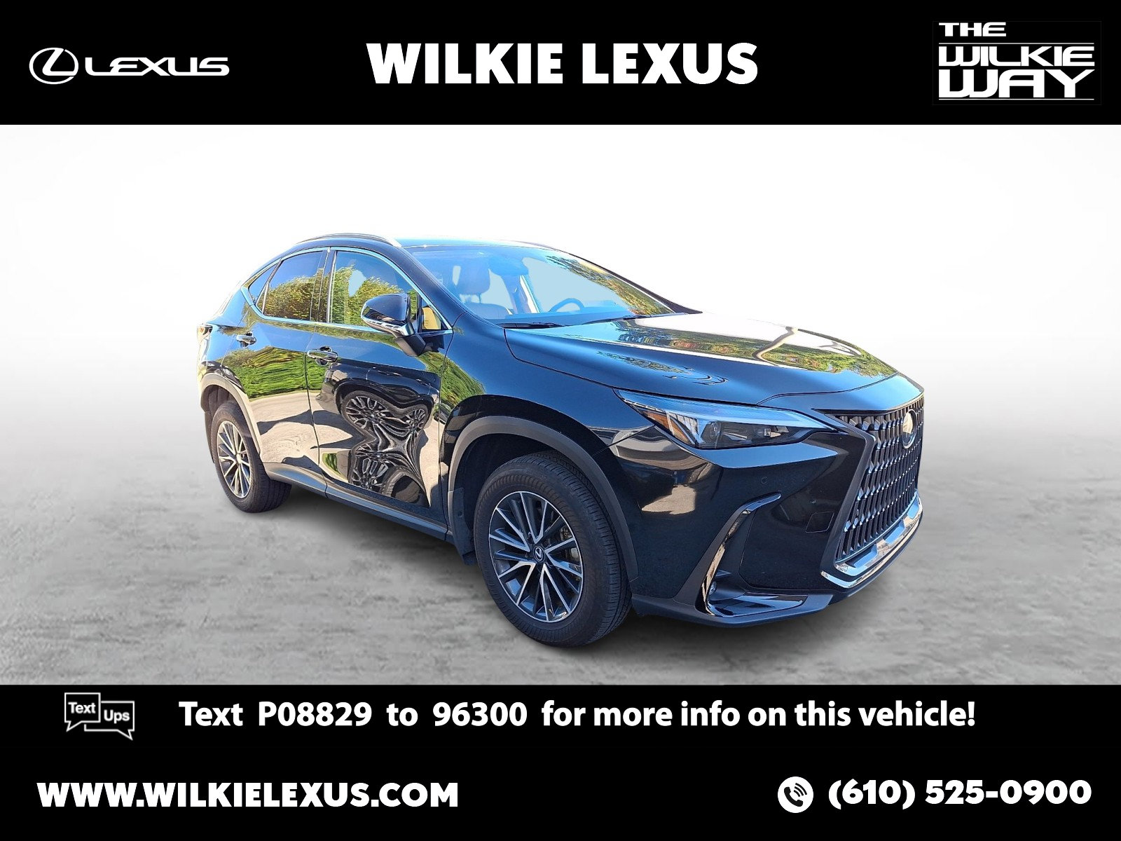 2025 Lexus NX