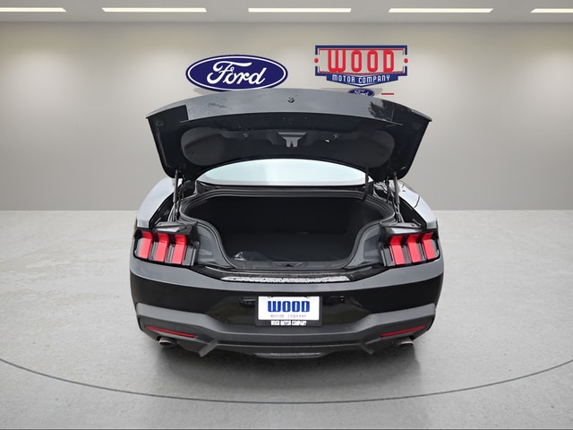 2026 Ford Mustang EcoBoost Fastback - Photo 10