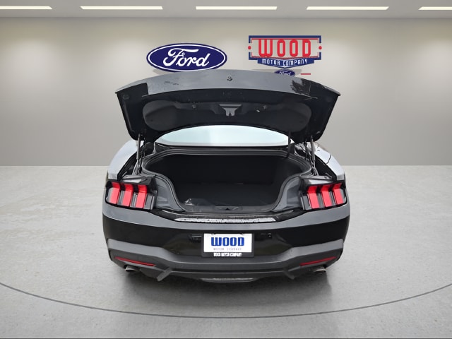 2026 Ford Mustang EcoBoost Fastback - Photo 10