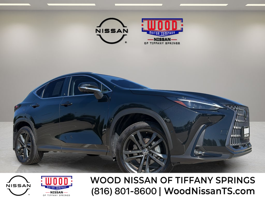 2025 Lexus NX