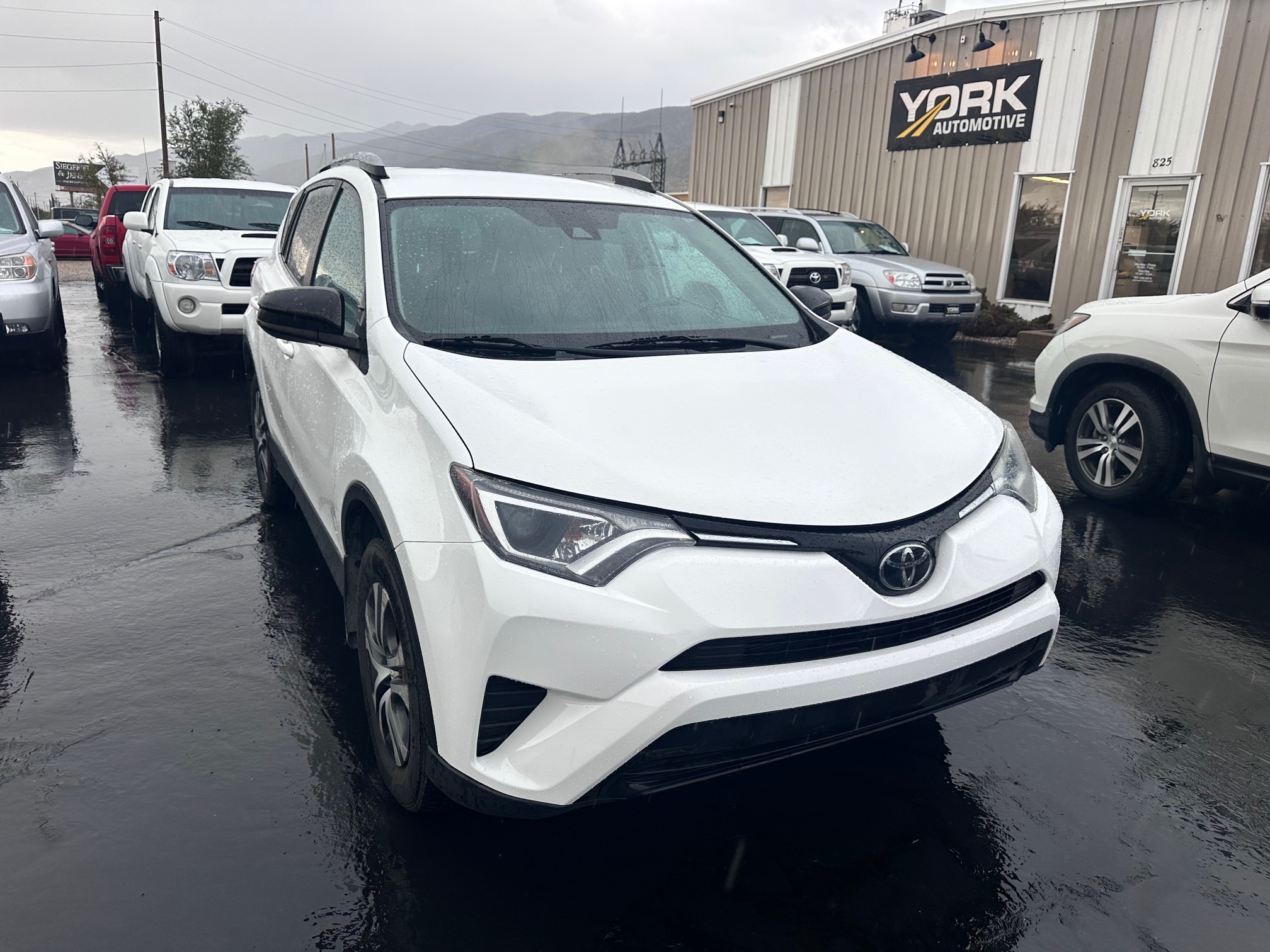 2017 Toyota RAV4 LE AWD photo