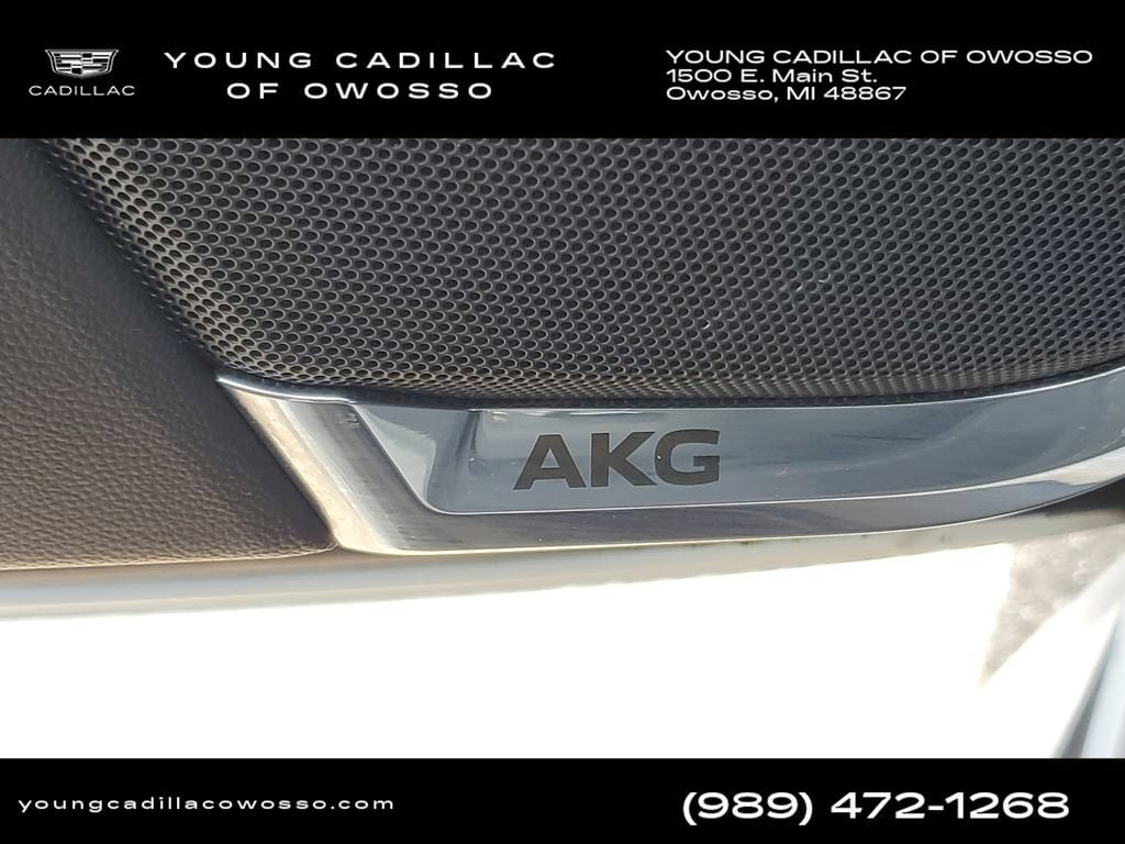 2024 Cadillac Escalade ESV Premium Luxury - Photo 26