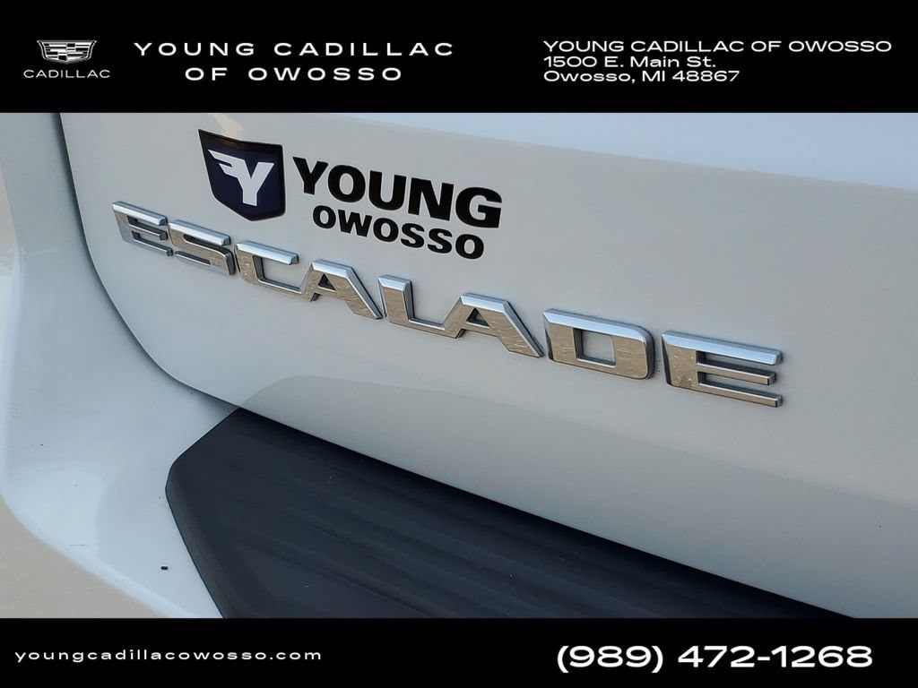 2024 Cadillac Escalade ESV Premium Luxury - Photo 36