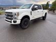 Used 2022 Ford F-350SD Platinum Truck